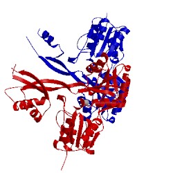 Image of CATH 2nyd