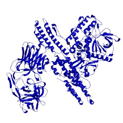 Image of CATH 2nyy