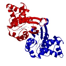 Image of CATH 2o0c
