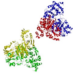 Image of CATH 2o1s