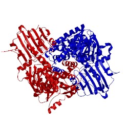 Image of CATH 2o1v