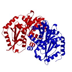Image of CATH 2o2e