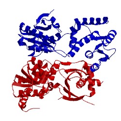 Image of CATH 2o2j