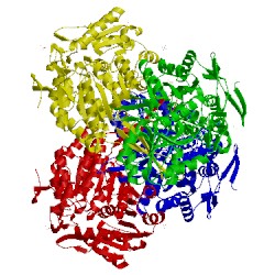 Image of CATH 2o2p