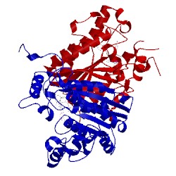 Image of CATH 2o2s