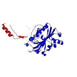 Image of CATH 2o3b