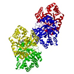 Image of CATH 2o4q