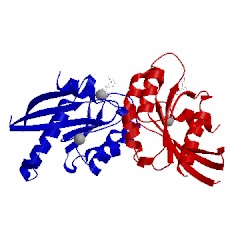 Image of CATH 2o52