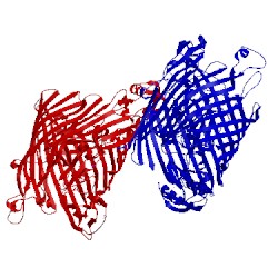 Image of CATH 2o5p