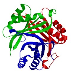 Image of CATH 2o67