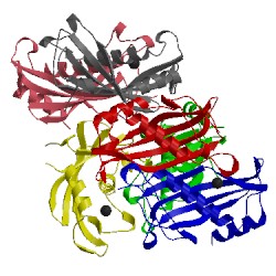 Image of CATH 2o6t