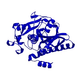 Image of CATH 2o6x