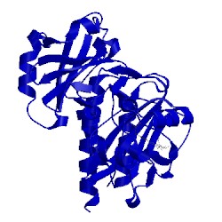 Image of CATH 2o9c