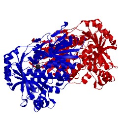 Image of CATH 2oa1