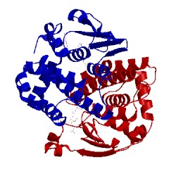 Image of CATH 2oad