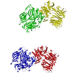 Image of CATH 2oag