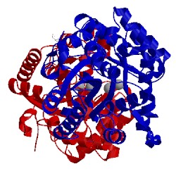 Image of CATH 2ob3