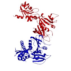 Image of CATH 2obc