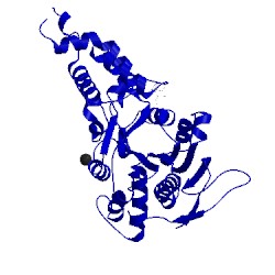 Image of CATH 2obm