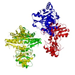 Image of CATH 2obn
