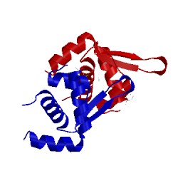 Image of CATH 2obp