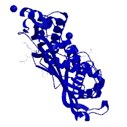 Image of CATH 2obv