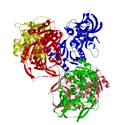 Image of CATH 2oby