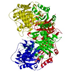 Image of CATH 2ocd