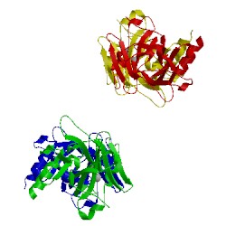 Image of CATH 2ocj