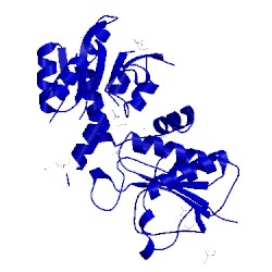 Image of CATH 2ocx