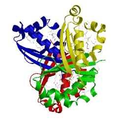 Image of CATH 2od6