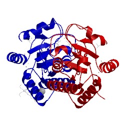 Image of CATH 2oda