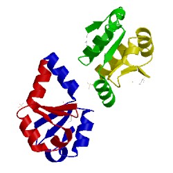 Image of CATH 2odk