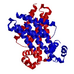 Image of CATH 2oer