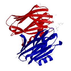 Image of CATH 2ofc