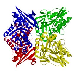 Image of CATH 2ofj