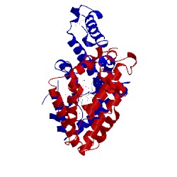 Image of CATH 2ofl