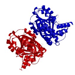 Image of CATH 2ofp