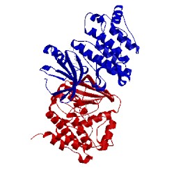 Image of CATH 2og8