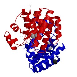 Image of CATH 2ogi