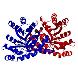 Image of CATH 2ogy
