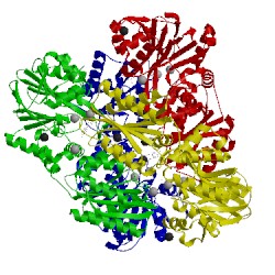 Image of CATH 2ohj