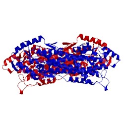 Image of CATH 2ohy