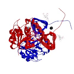 Image of CATH 2oi7