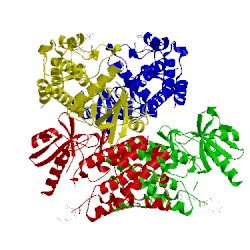 Image of CATH 2oib