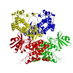 Image of CATH 2oid