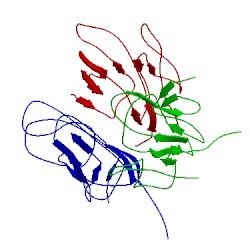 Image of CATH 2oii