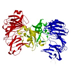 Image of CATH 2oiz