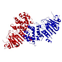 Image of CATH 2okc