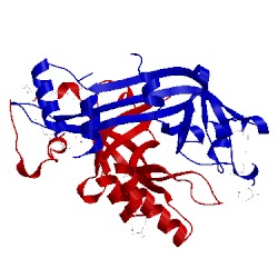 Image of CATH 2ol5